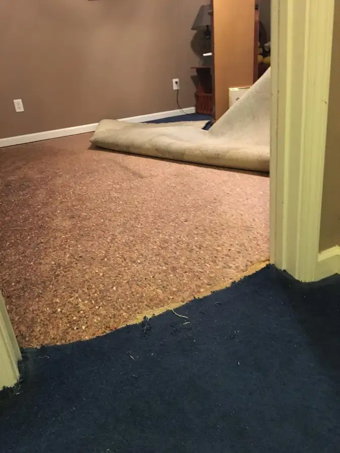 Carpet pad removal revealing water damage during Water Mitigation Services in La Vista