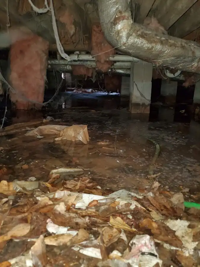 Crawl space flood assessment for Commercial Water Damage Restoration in La Vista