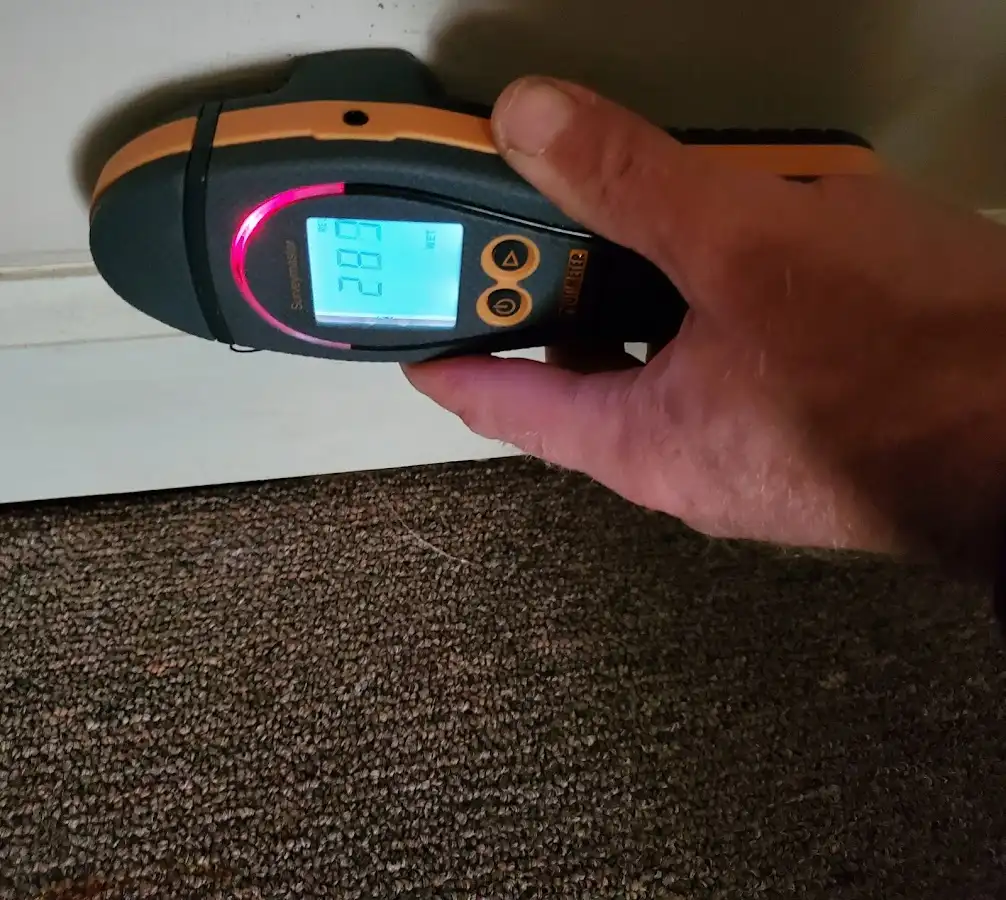 Moisture detection at baseboard during Sewage Cleanup & Sanitation in La Vista